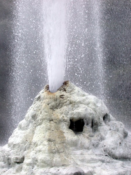 Lady Knox Geyser